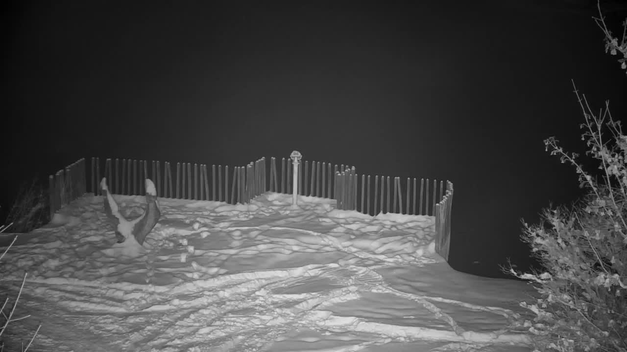 Webcam Ribnik Vrbje – Žalec