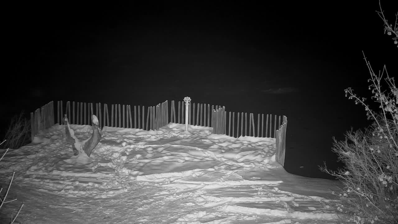 Webcam Ribnik Vrbje – Žalec