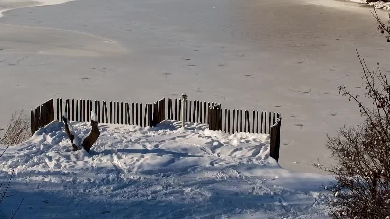 Webcam Ribnik Vrbje – Žalec