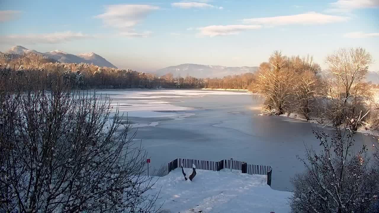 Webcam Ribnik Vrbje – Žalec