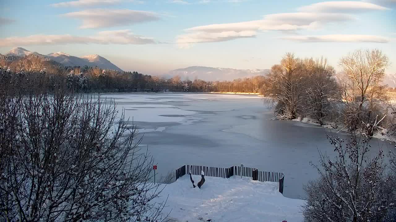 Web kamera Ribnik Vrbje – Žalec