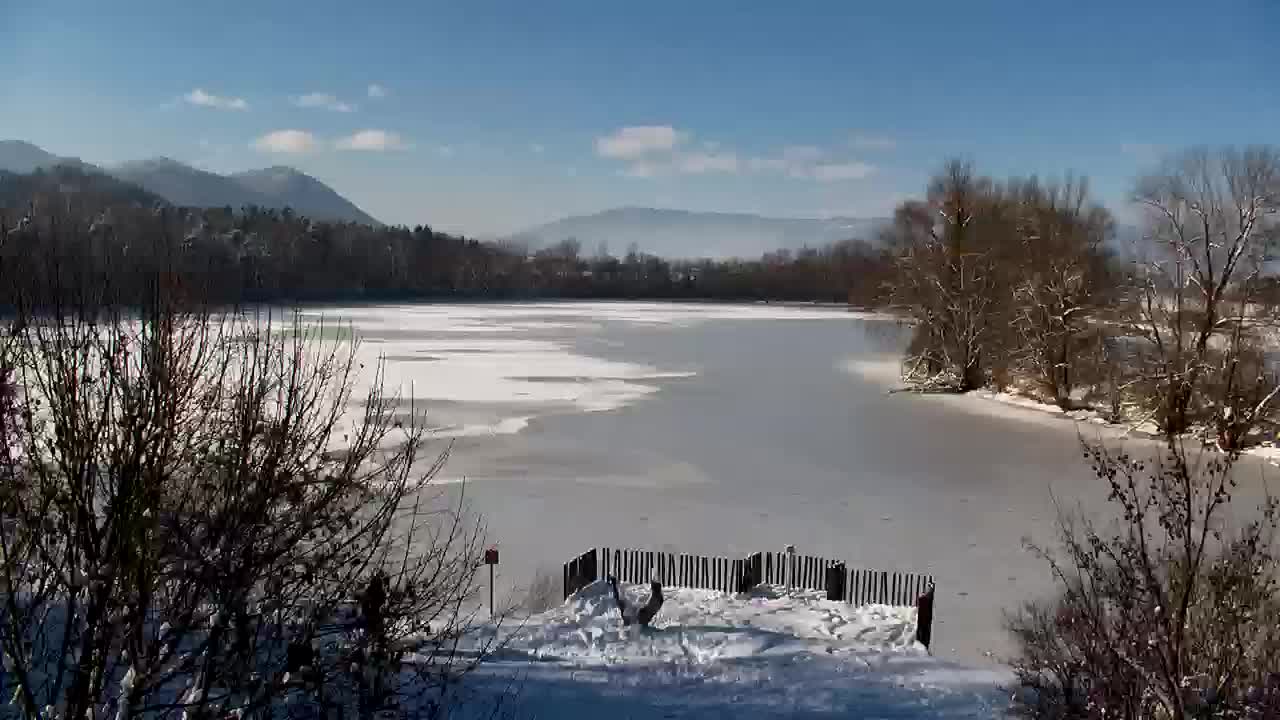 Webcam Ribnik Vrbje – Žalec