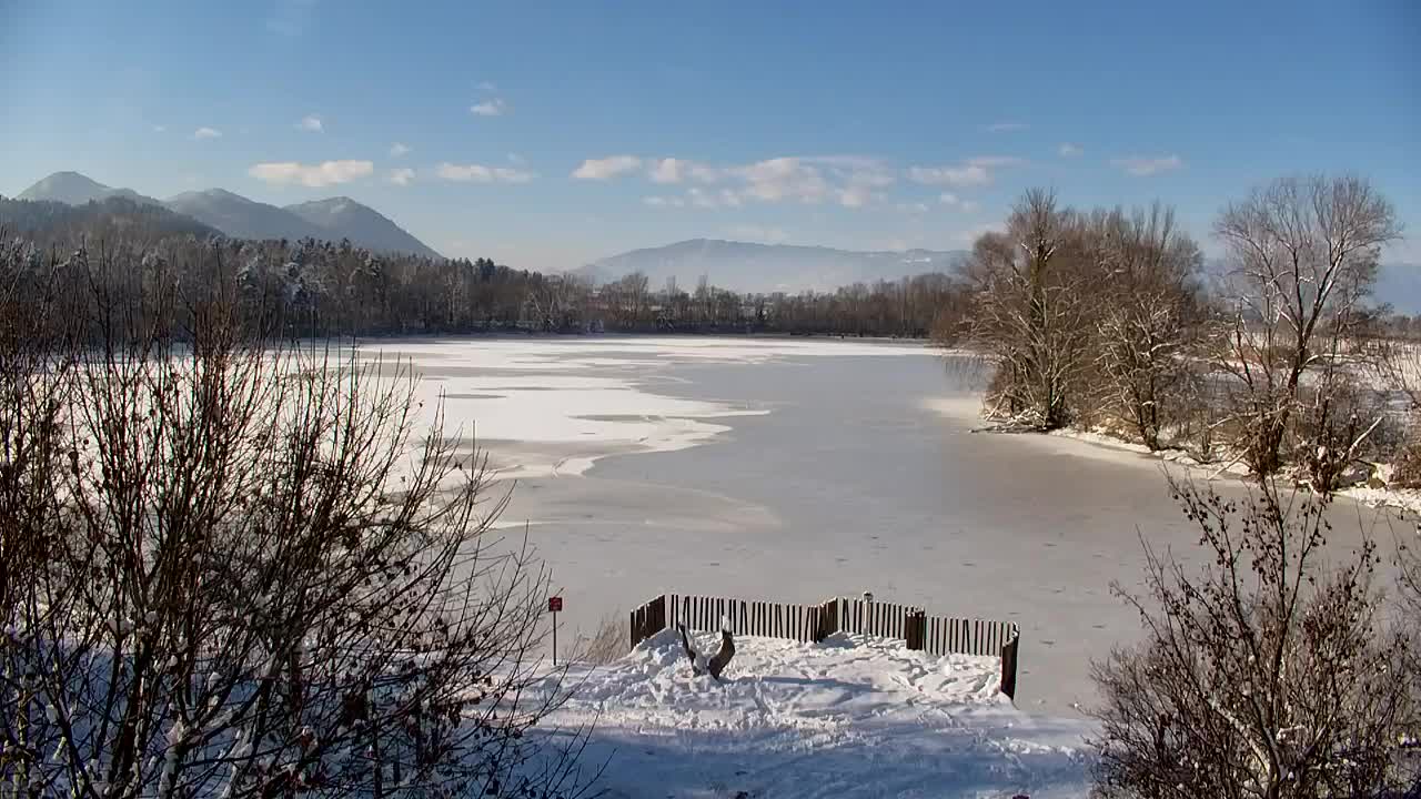 Spletna kamera Ribnik Vrbje – Žalec