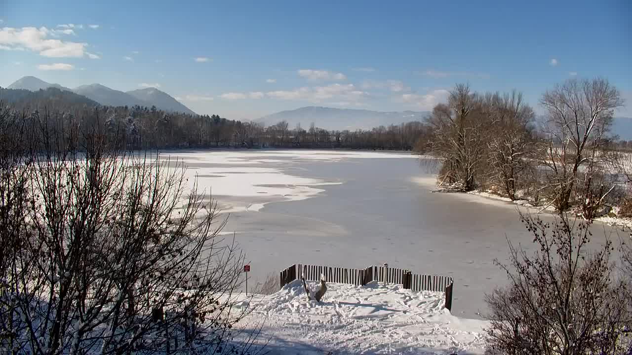 Webcam Ribnik Vrbje – Žalec