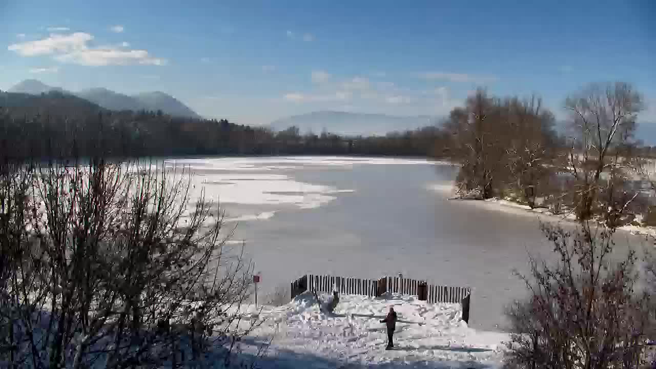 Spletna kamera Ribnik Vrbje – Žalec