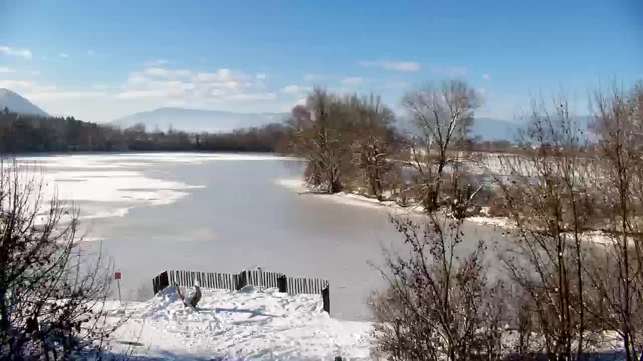Webcam Ribnik Vrbje – Žalec