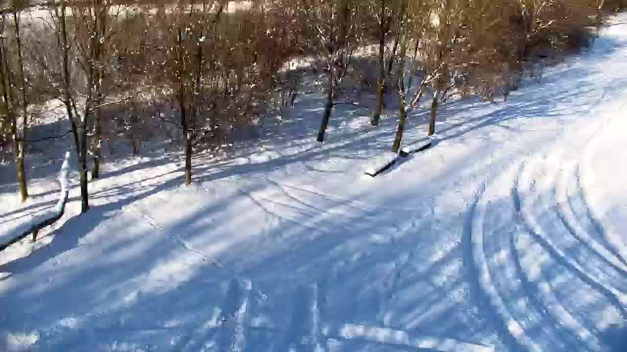 Spletna kamera Ribnik Vrbje – Žalec