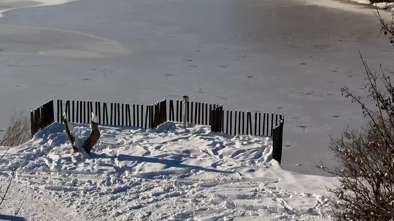 Webcam Ribnik Vrbje – Žalec