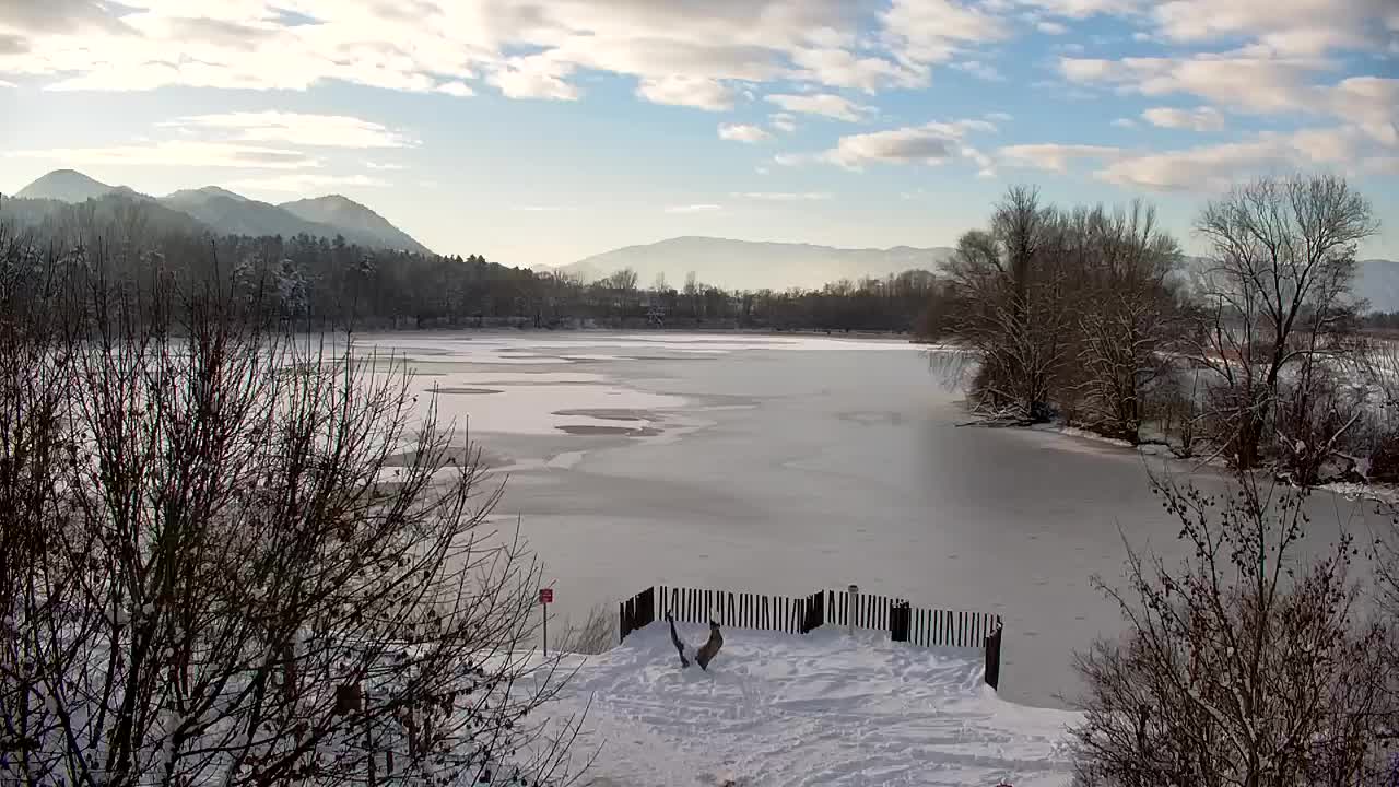 Spletna kamera Ribnik Vrbje – Žalec