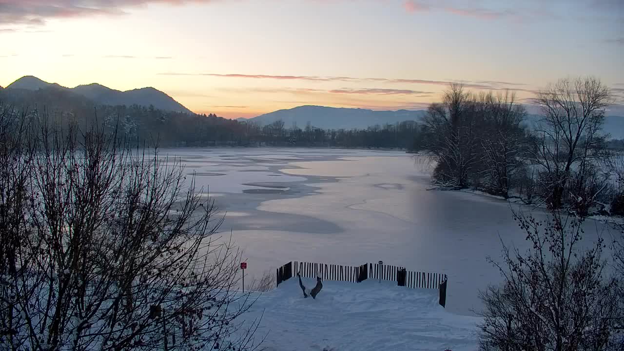 Web kamera Ribnik Vrbje – Žalec