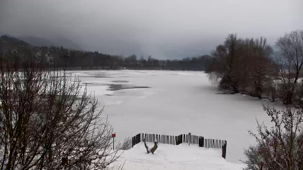 Webcam Ribnik Vrbje – Žalec
