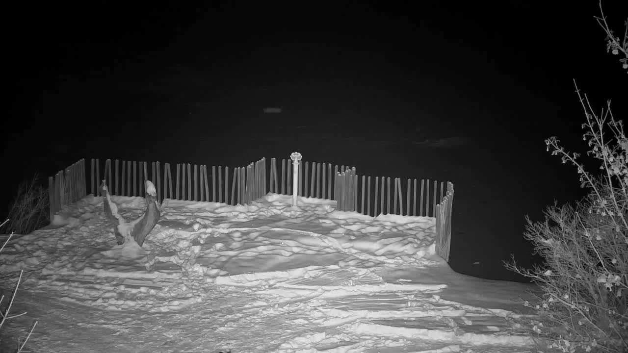 Webcam Ribnik Vrbje – Žalec