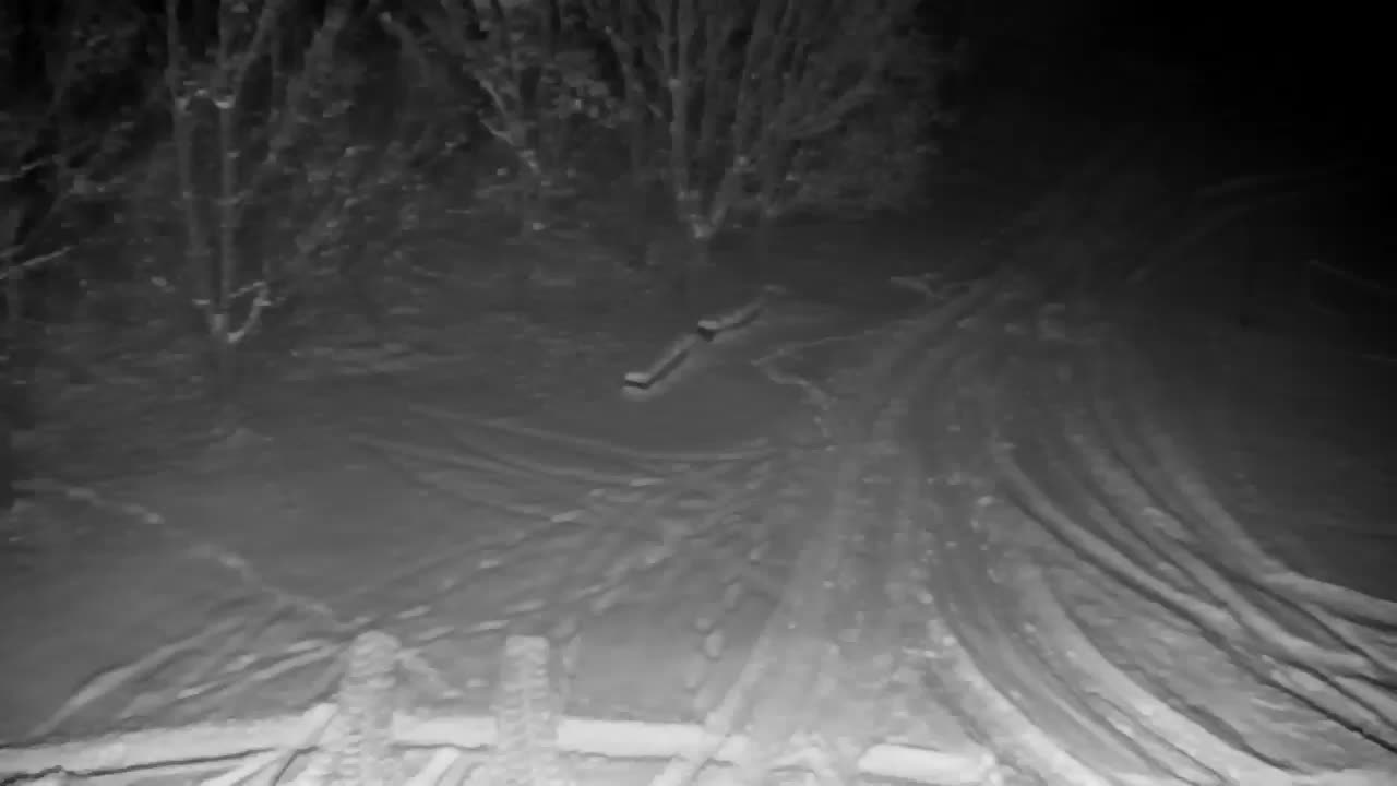 Spletna kamera Ribnik Vrbje – Žalec