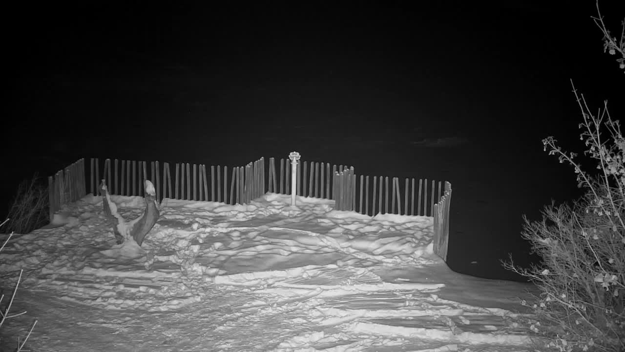 Webcam Ribnik Vrbje – Žalec