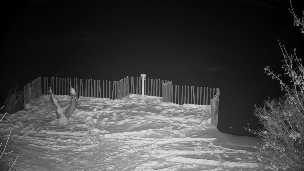 Webcam Ribnik Vrbje – Žalec