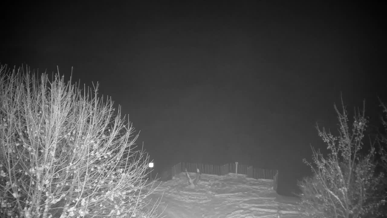 Webcam Ribnik Vrbje – Žalec