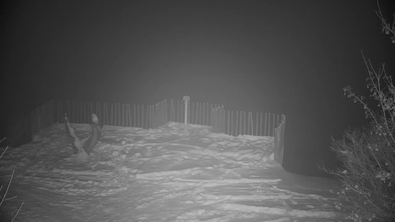 Spletna kamera Ribnik Vrbje – Žalec