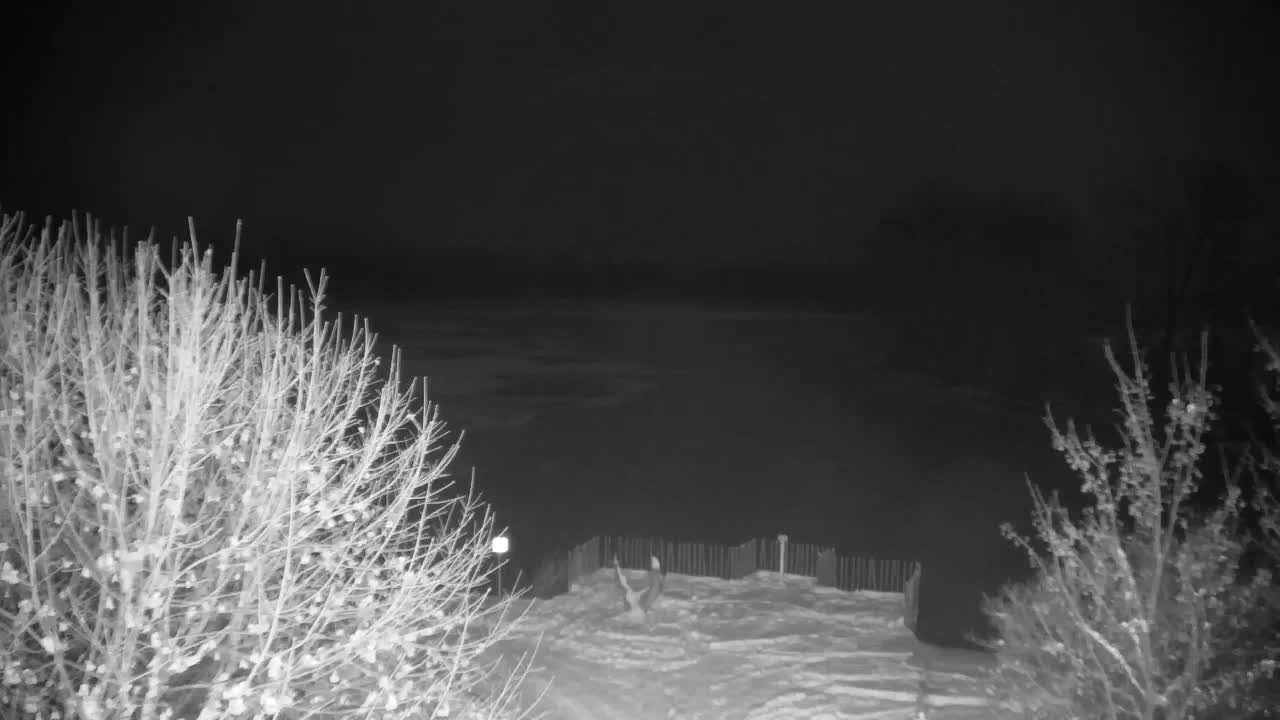 Webcam Ribnik Vrbje – Žalec