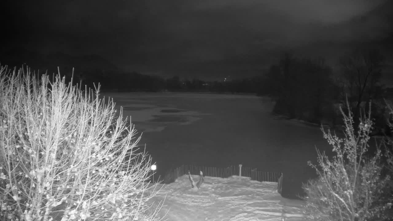 Spletna kamera Ribnik Vrbje – Žalec