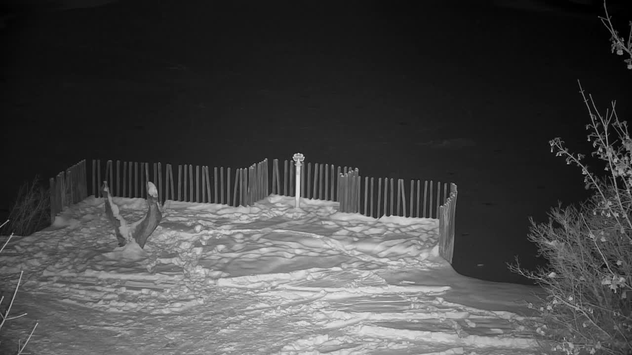 Webcam Ribnik Vrbje – Žalec