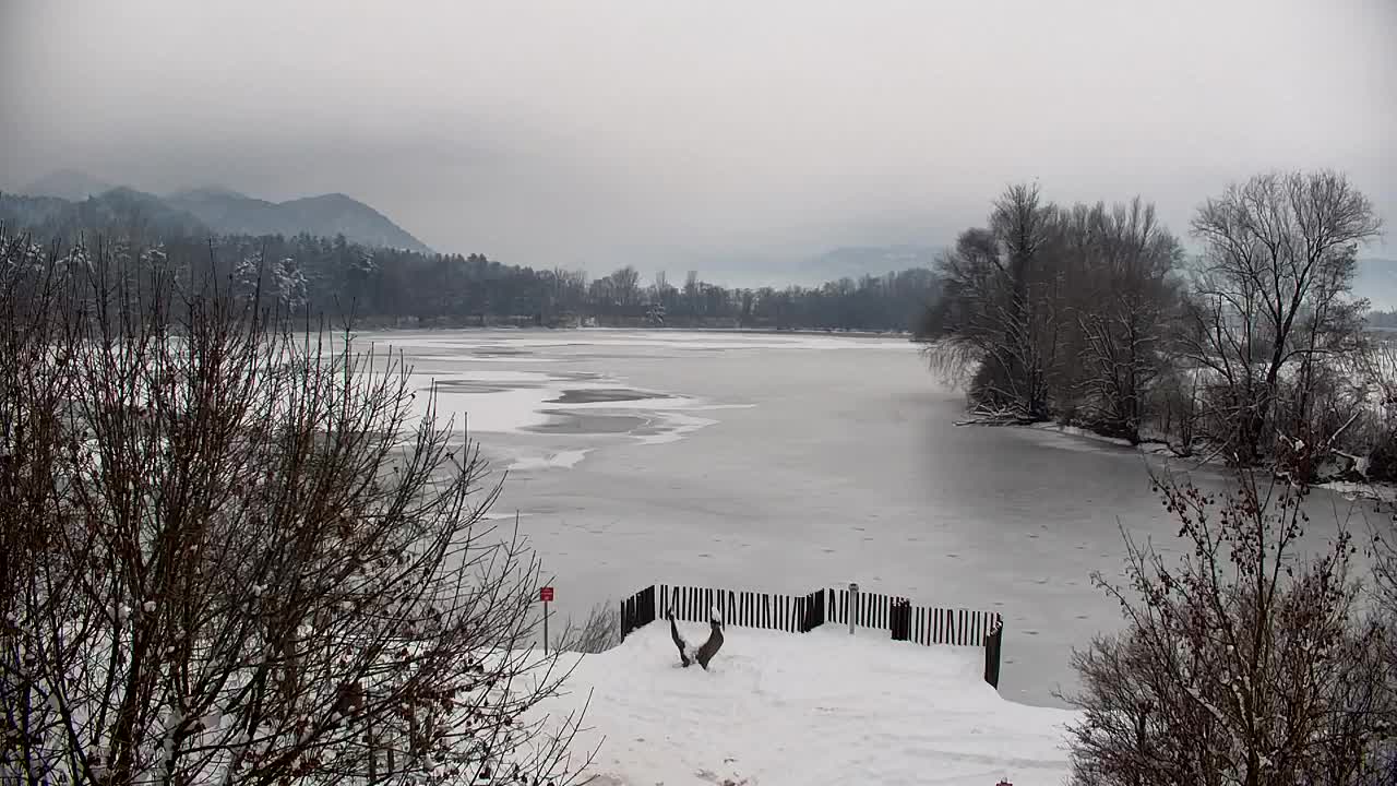 Webcam Ribnik Vrbje – Žalec