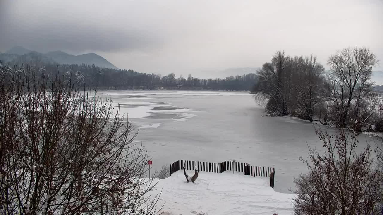 Webcam Ribnik Vrbje – Žalec