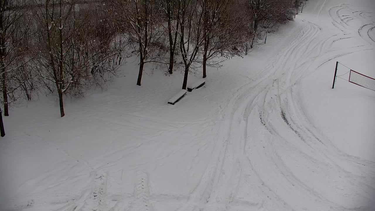 Spletna kamera Ribnik Vrbje – Žalec