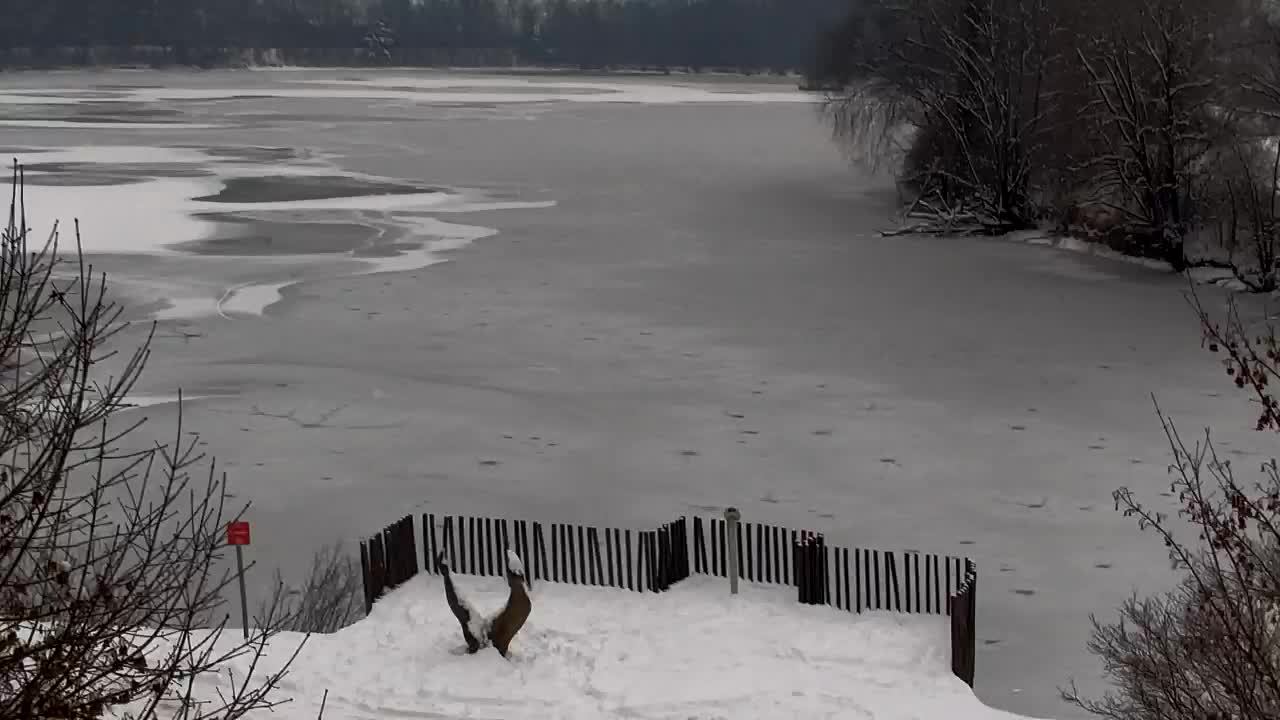 Spletna kamera Ribnik Vrbje – Žalec