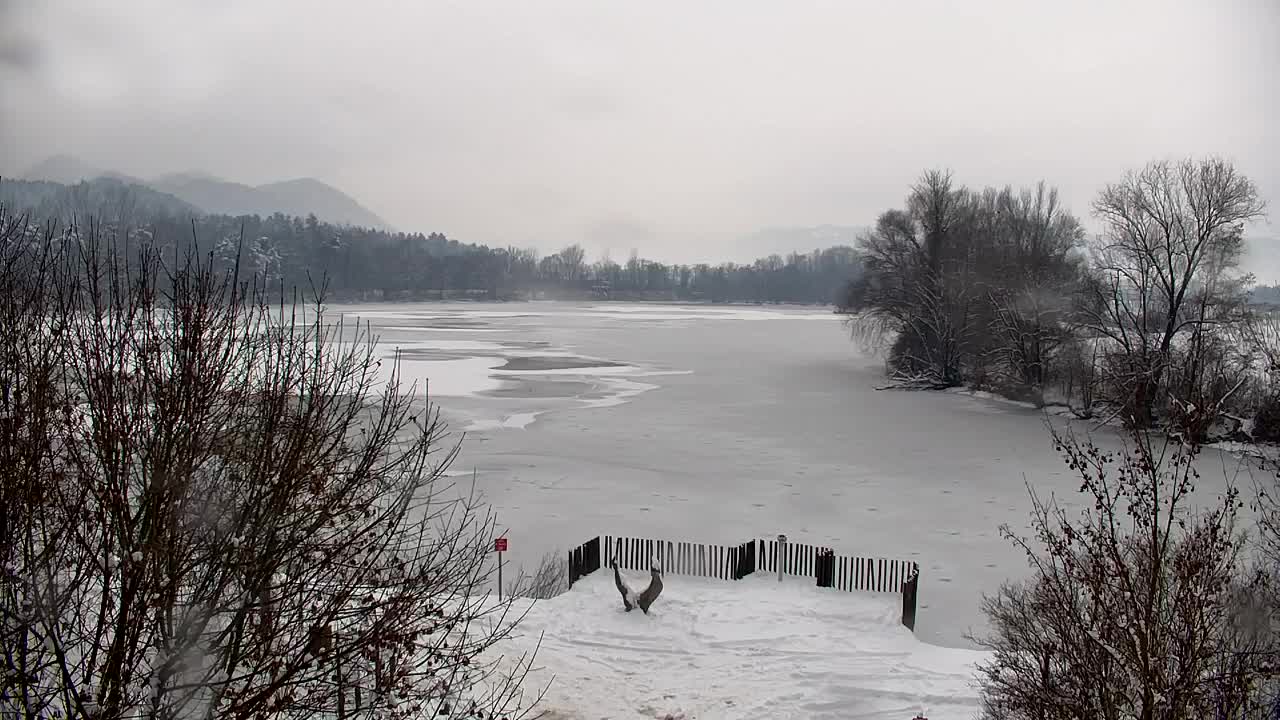 Spletna kamera Ribnik Vrbje – Žalec