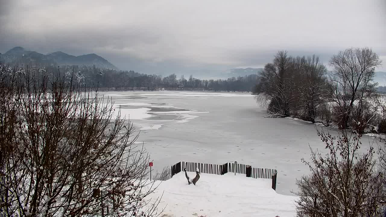 Webcam Ribnik Vrbje – Žalec