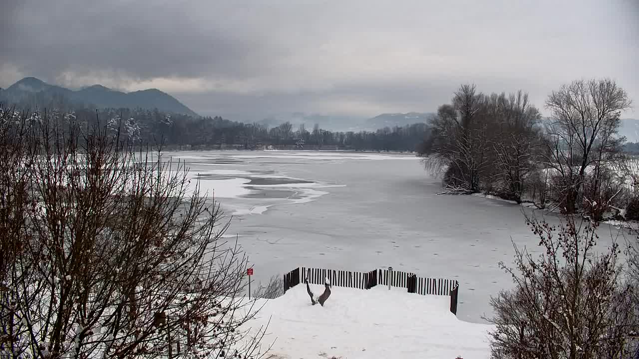 Webcam Ribnik Vrbje – Žalec