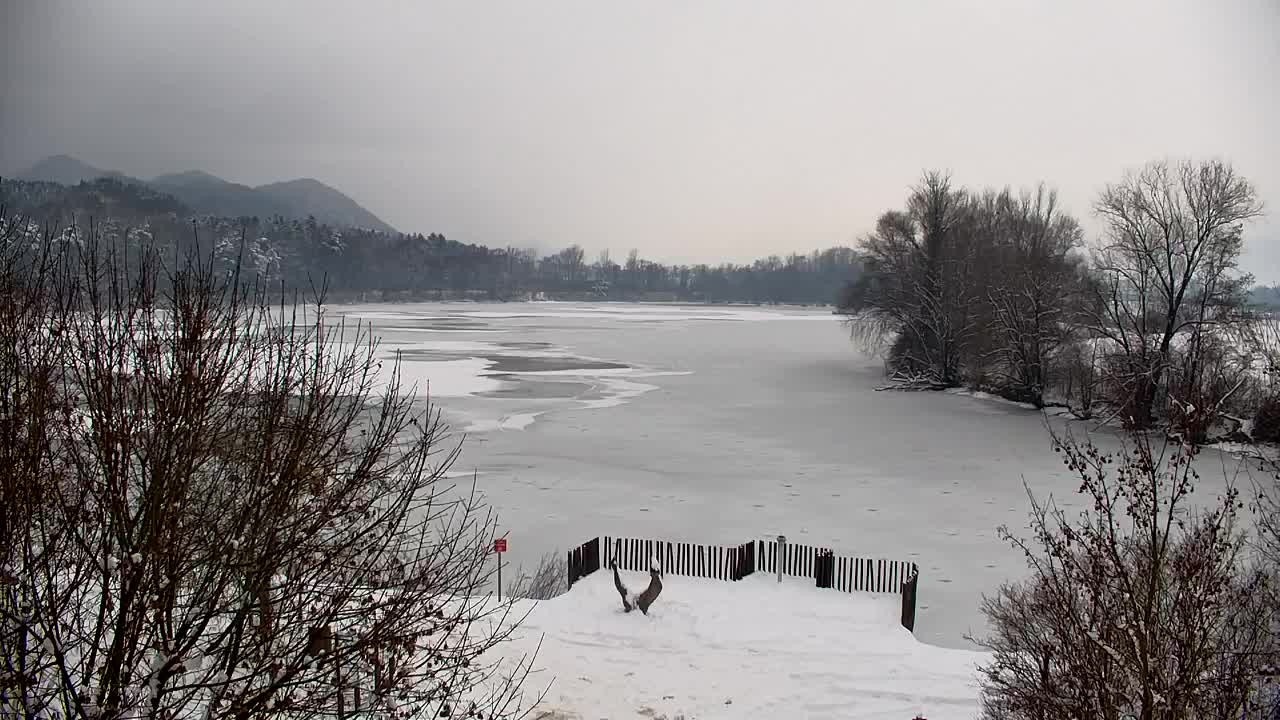 Webcam Ribnik Vrbje – Žalec