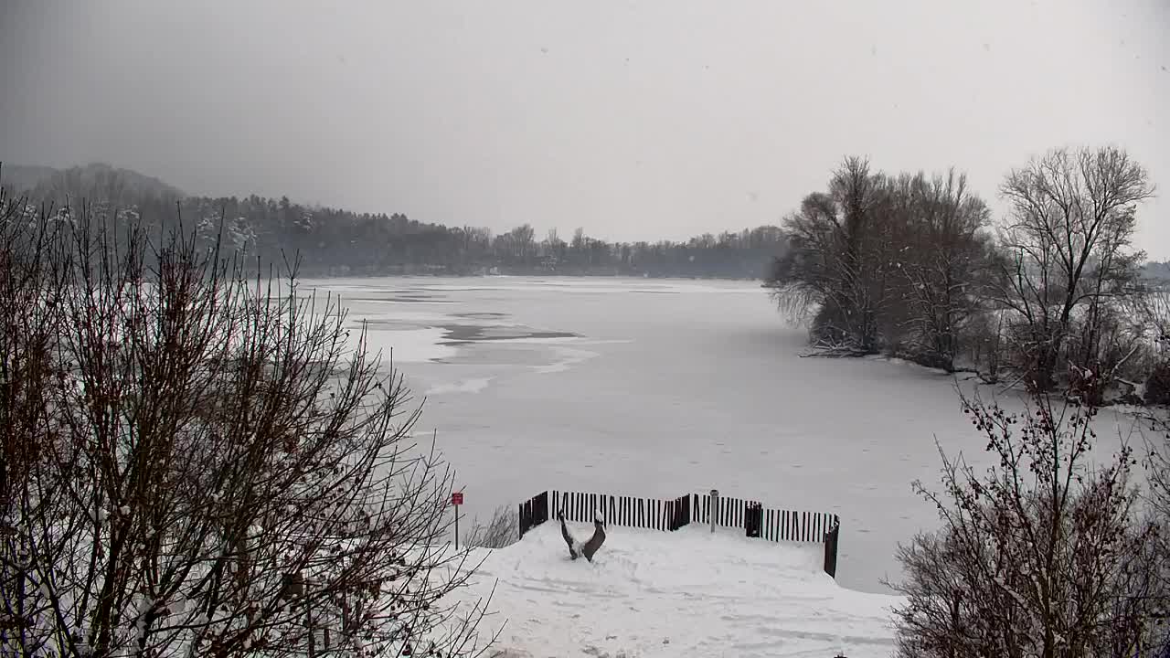Webcam Ribnik Vrbje – Žalec