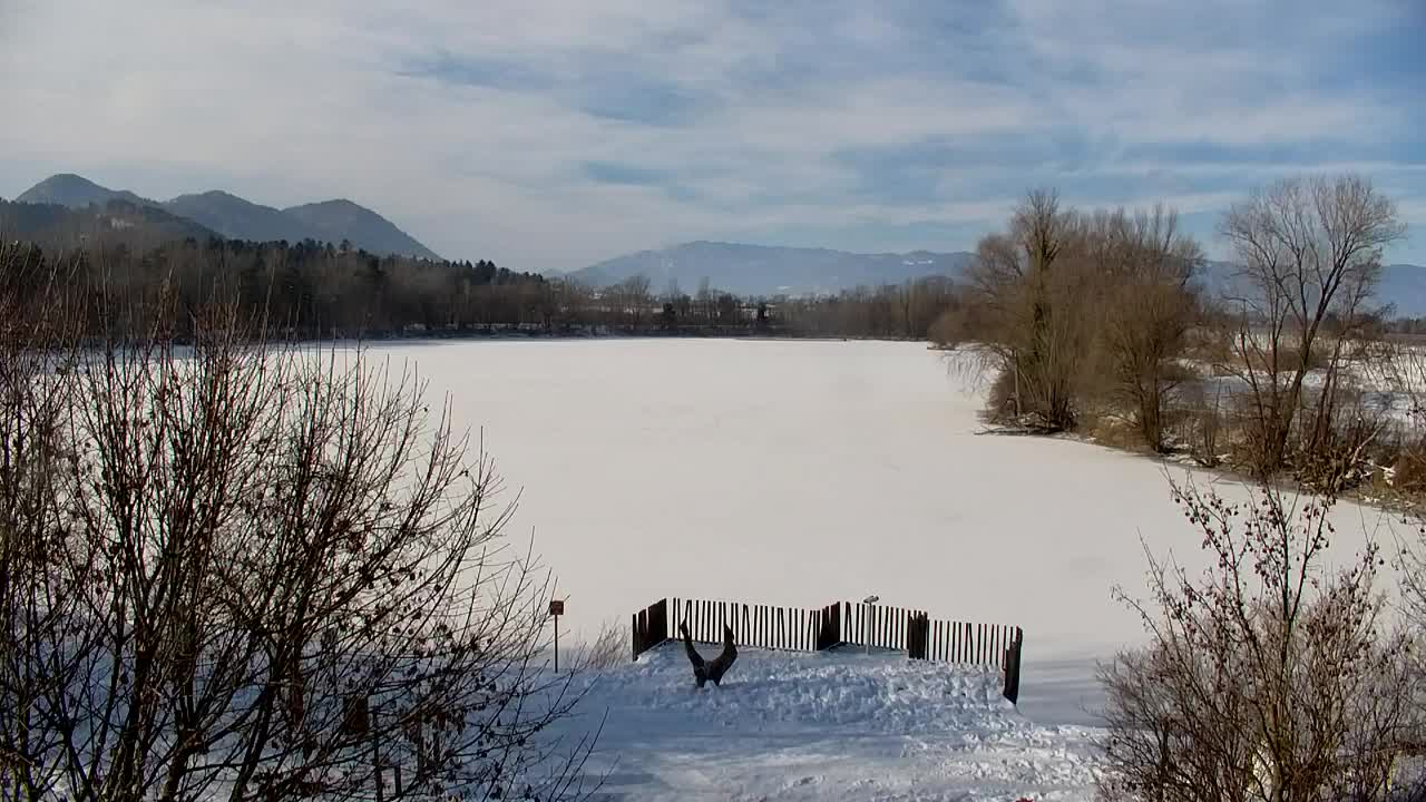 Webcam Ribnik Vrbje – Žalec