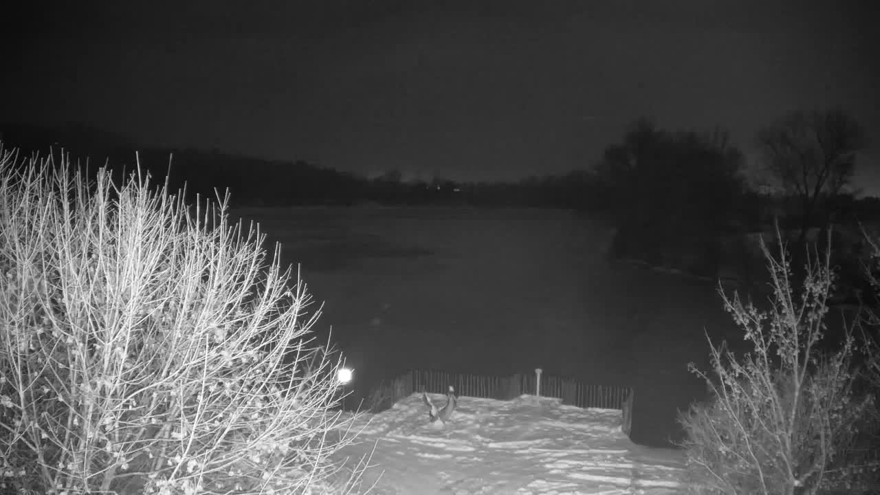 Webcam Ribnik Vrbje – Žalec