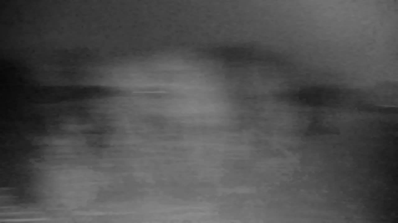 Webcam Ribnik Vrbje – Žalec