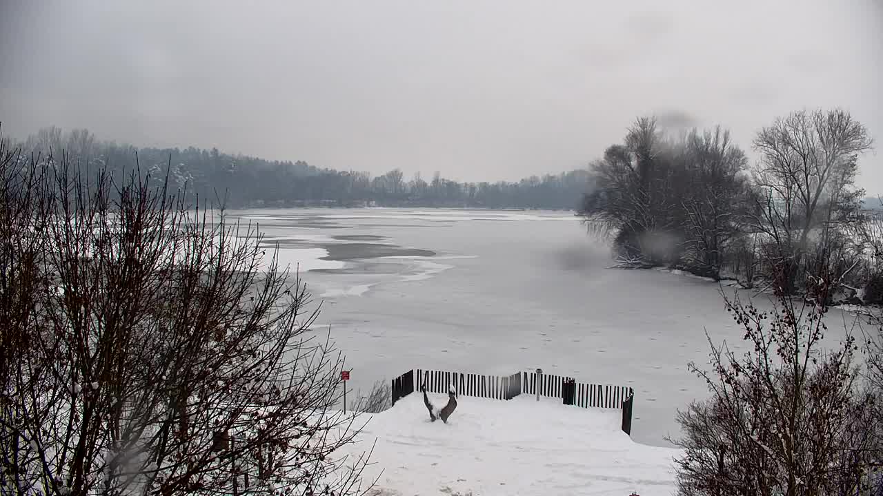 Webcam Ribnik Vrbje – Žalec
