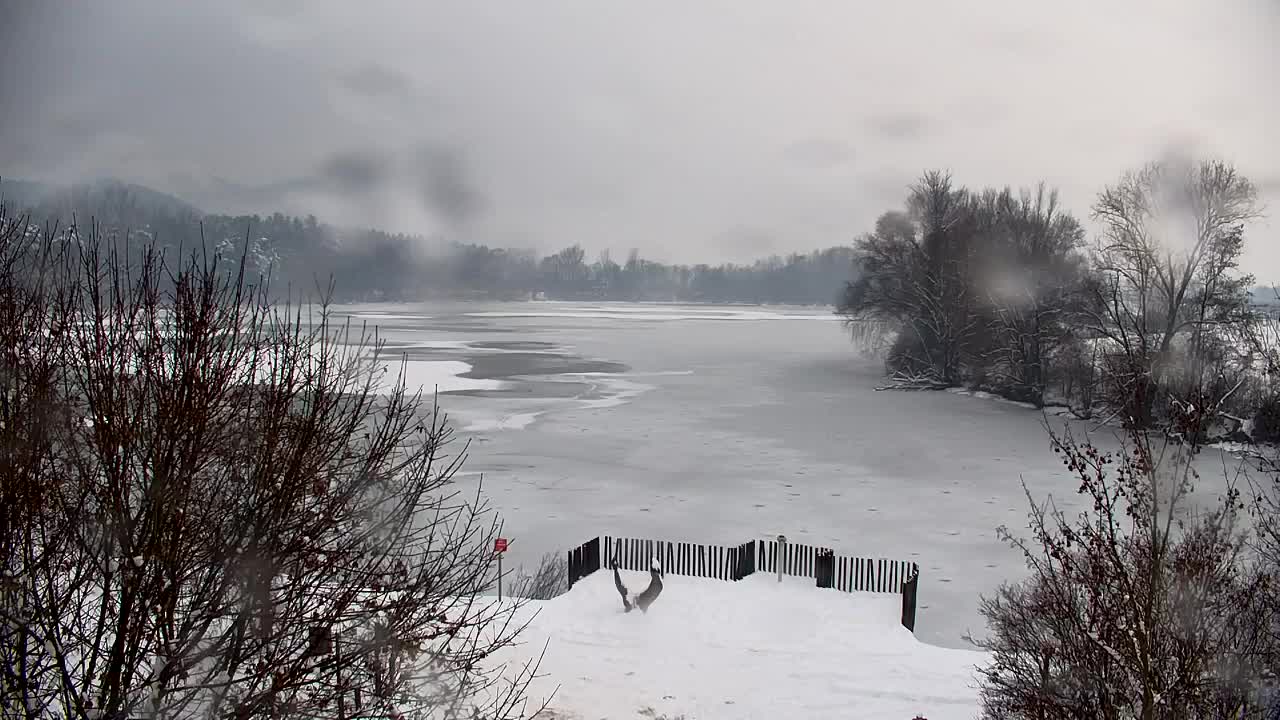 Webcam Ribnik Vrbje – Žalec
