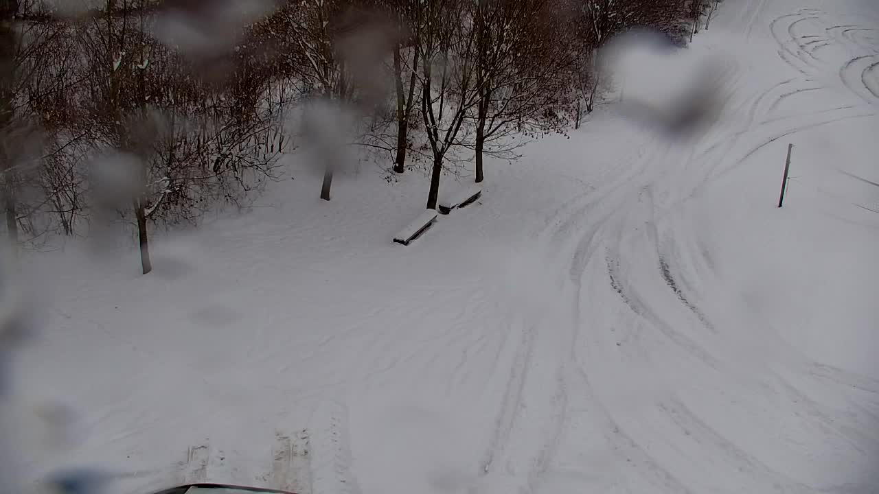 Webcam Ribnik Vrbje – Žalec