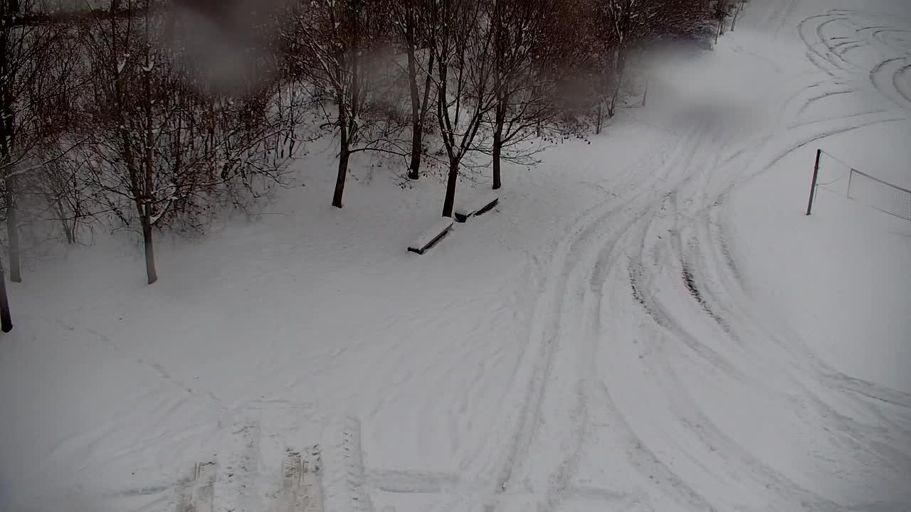 Web kamera Ribnik Vrbje – Žalec