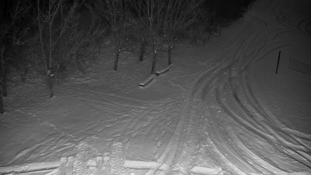 Web kamera Ribnik Vrbje – Žalec