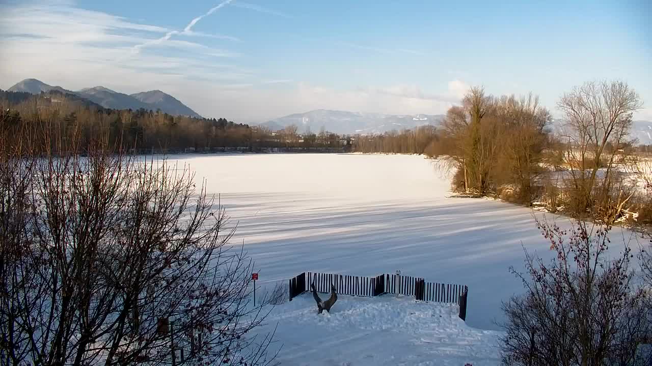 Webcam Ribnik Vrbje – Žalec