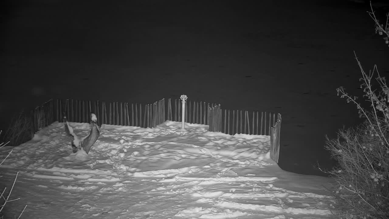 Webcam Ribnik Vrbje – Žalec