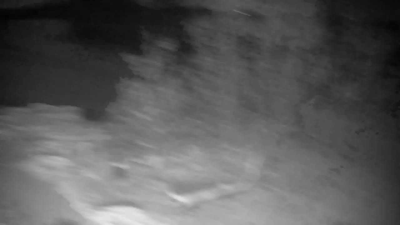 Webcam Ribnik Vrbje – Žalec