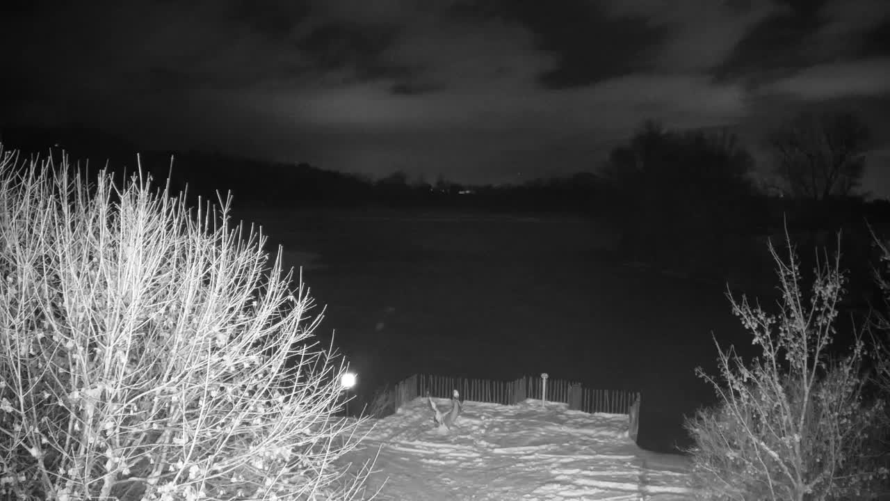 Webcam Ribnik Vrbje – Žalec