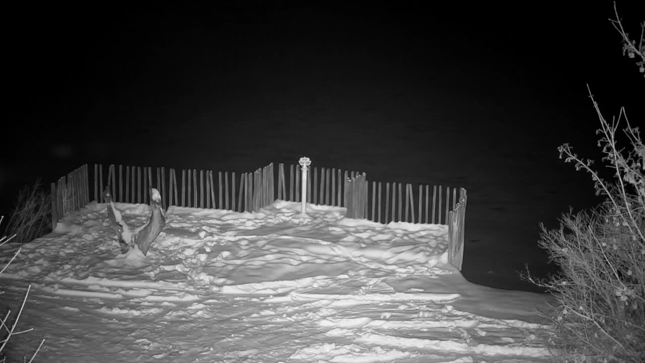 Webcam Ribnik Vrbje – Žalec