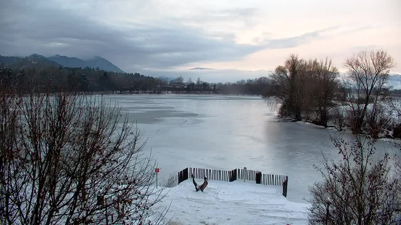Webcam Ribnik Vrbje – Žalec