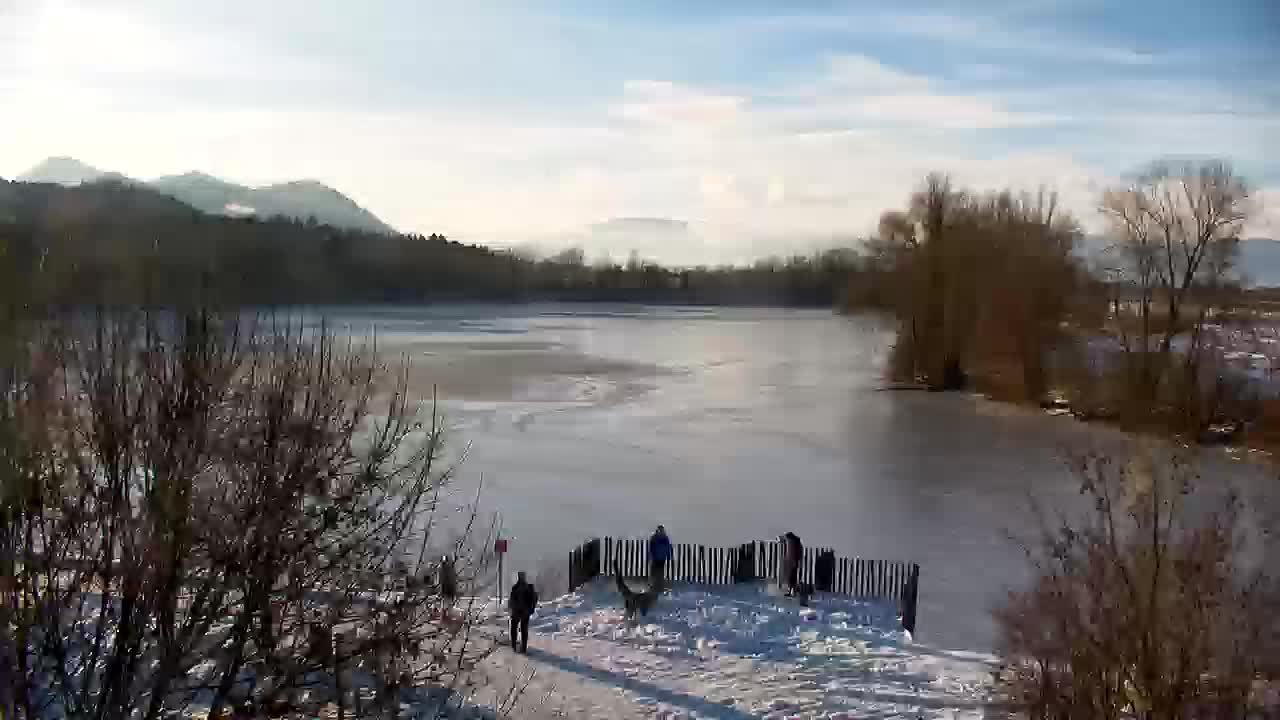 Webcam Ribnik Vrbje – Žalec