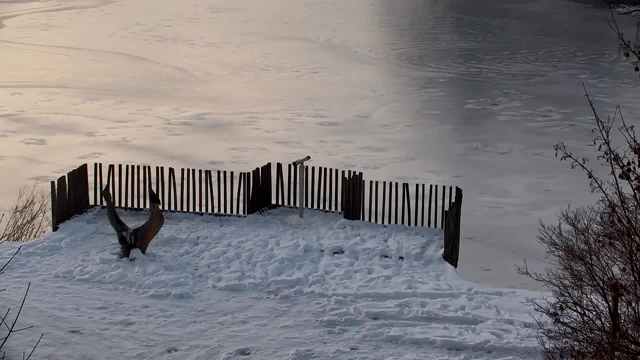 Webcam Ribnik Vrbje – Žalec