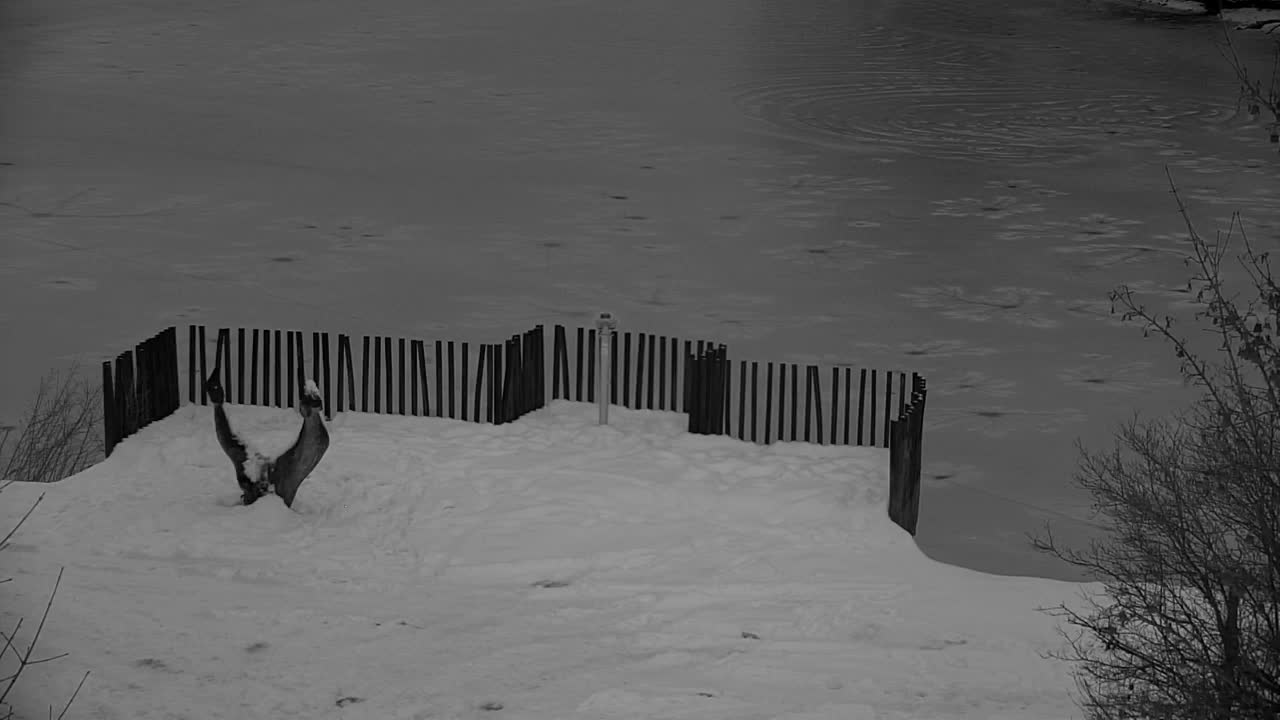 Webcam Ribnik Vrbje – Žalec